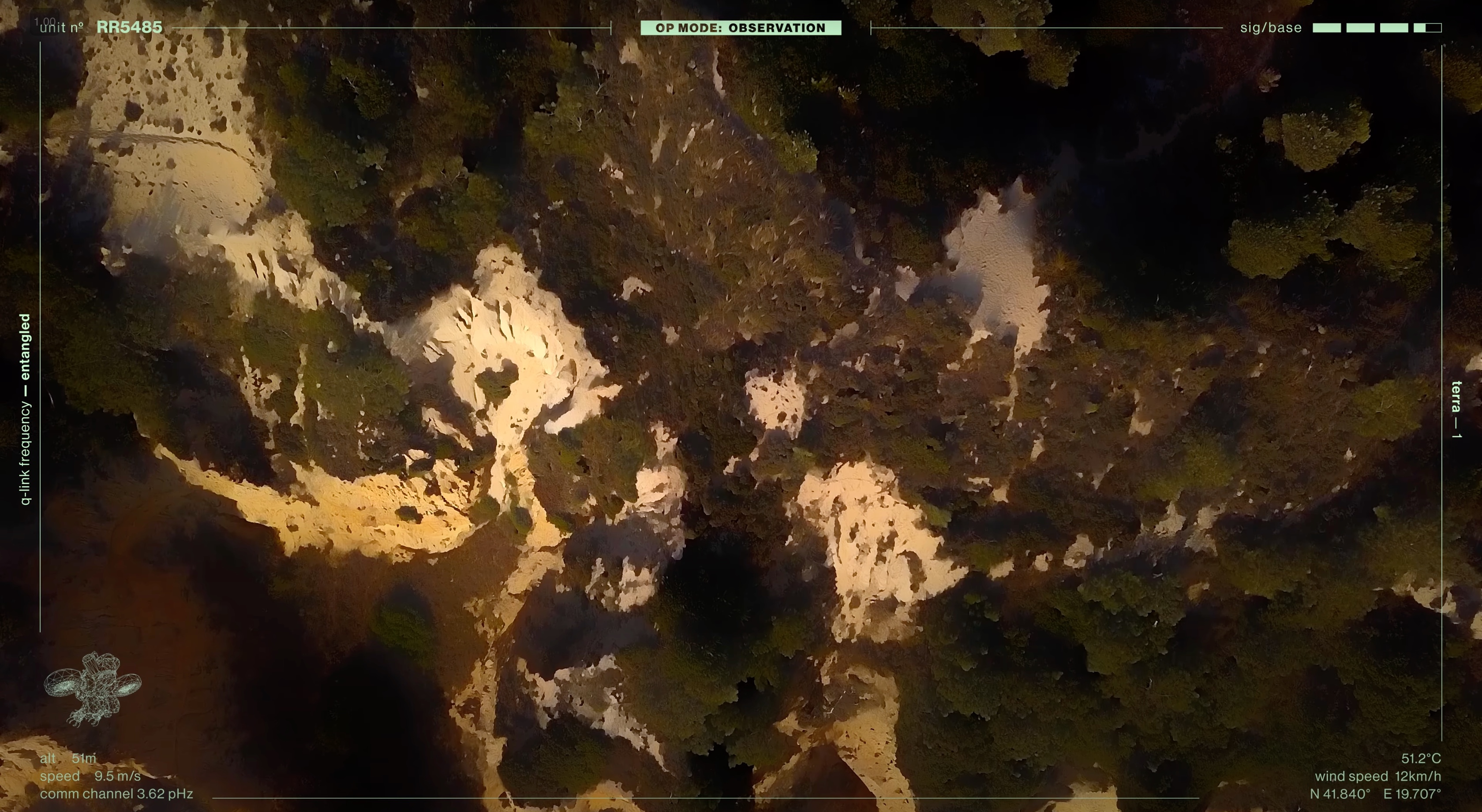 Forest erosion terrain viewed from above